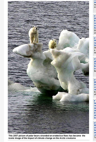 Illustration for article titled 10 Climate Change Pictures We Really Don't Need to See Again